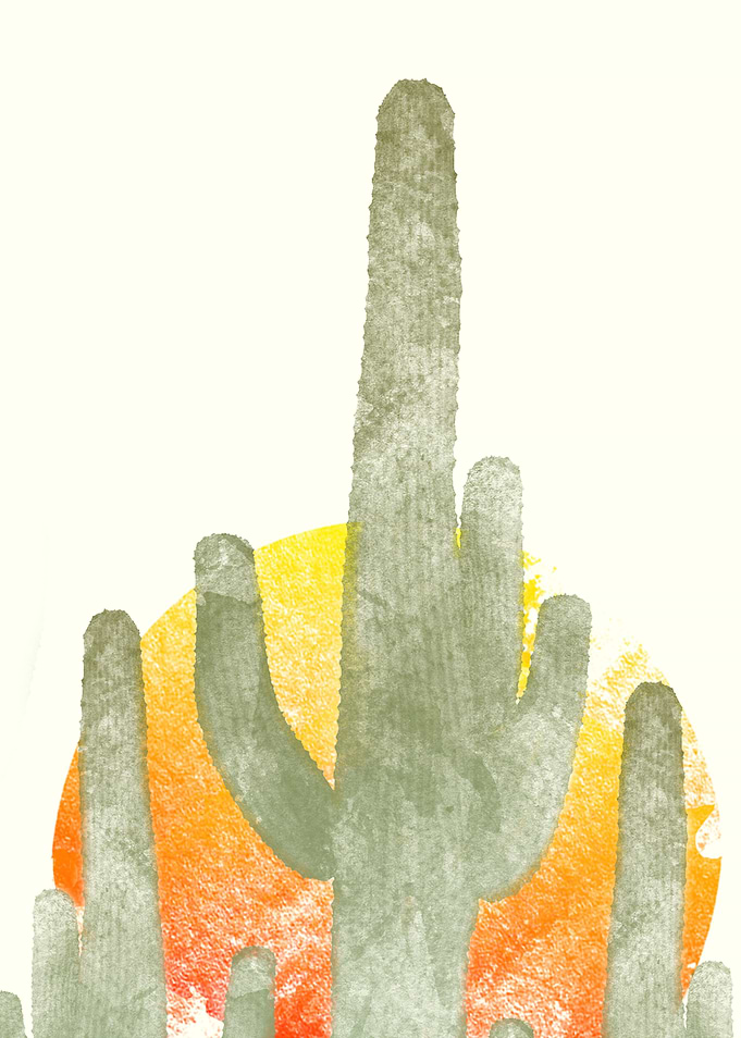Desert Vibes