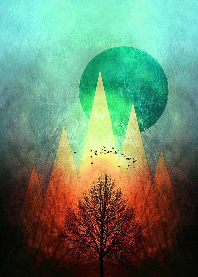 TREES under MA MO II