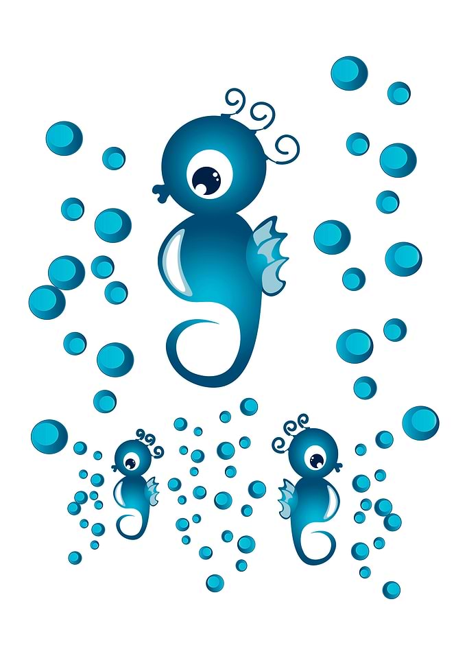 Sea horses illustration