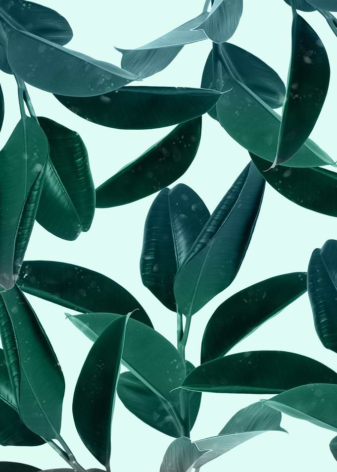 Plant Dynamics