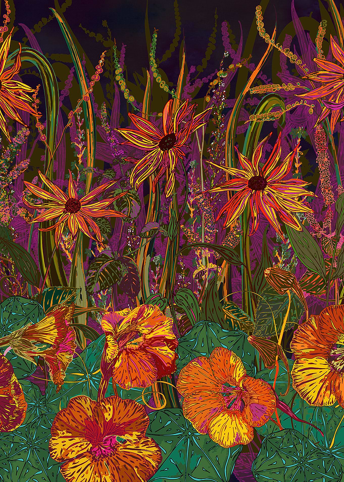 Pretty flowers from late-summer and early autumn. Colou ...