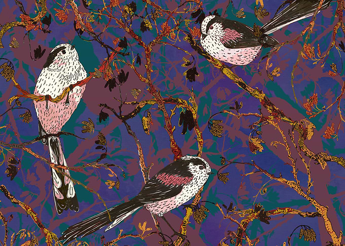 Sweet little long-tailed tits, amongst the branches of ...