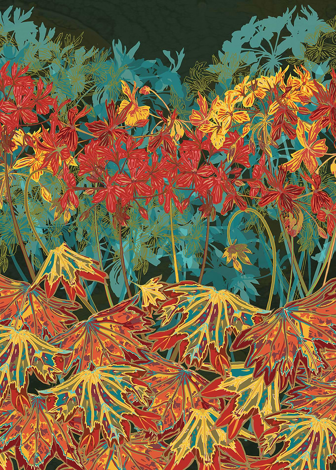 Summer geraniums! Beautiful flowers, but one of the mos ...