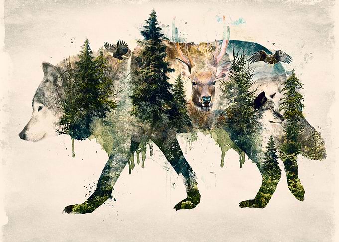The mirrored version of my Wolf Original surrealism art ...