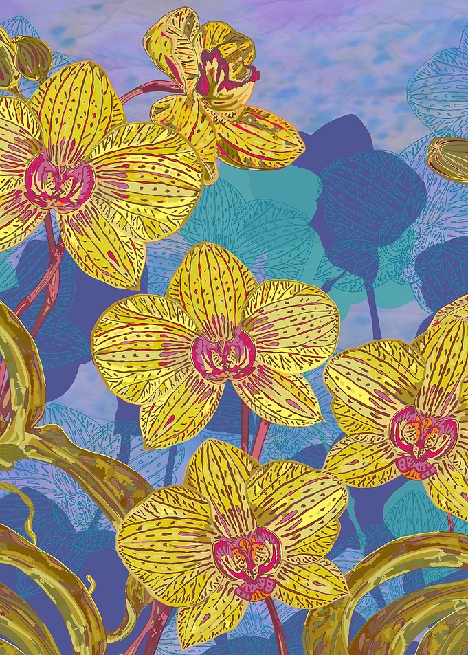 Colourful tropical orchids with intricate hand-drawn de ...