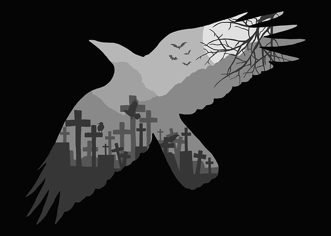 Black Crow