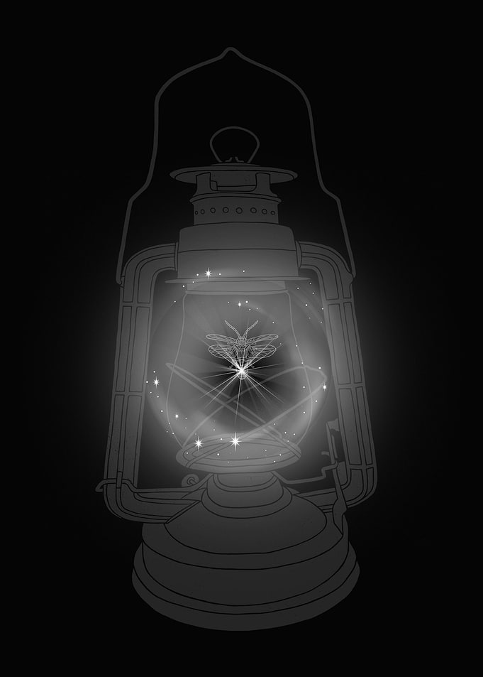 Camp Lights