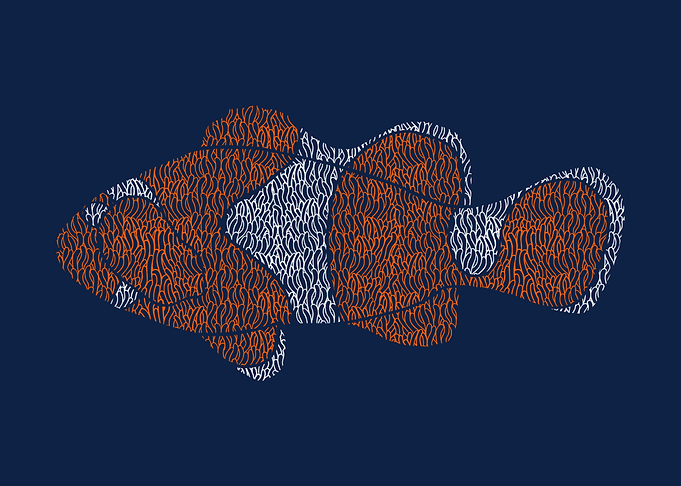 Clownfish