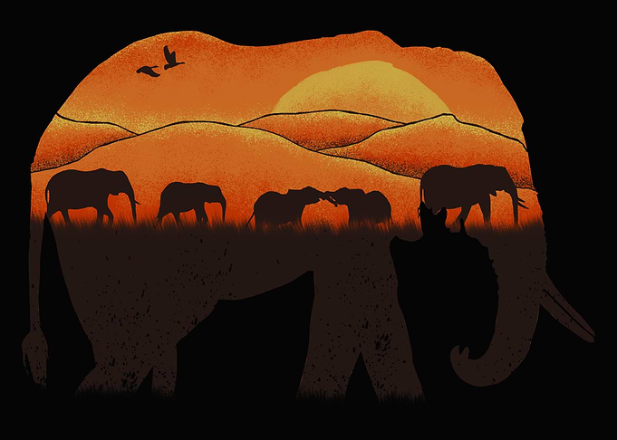 African Elephant