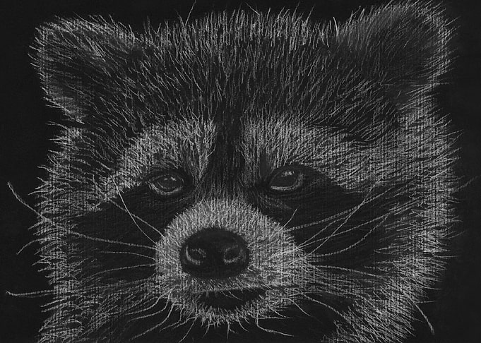 This is an art piece of a racoon titled 'Cheeky Little ...