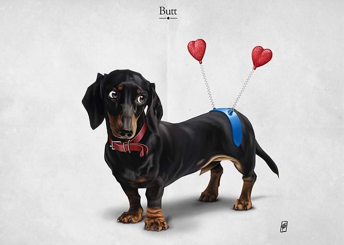 Butt