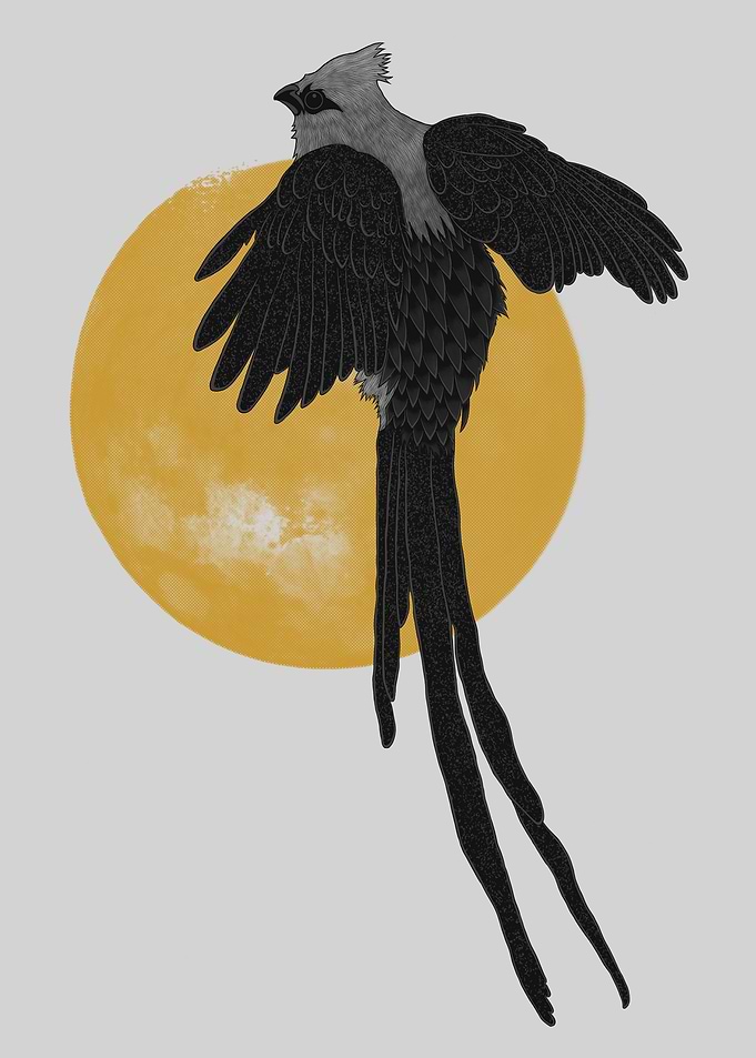 Mousebird