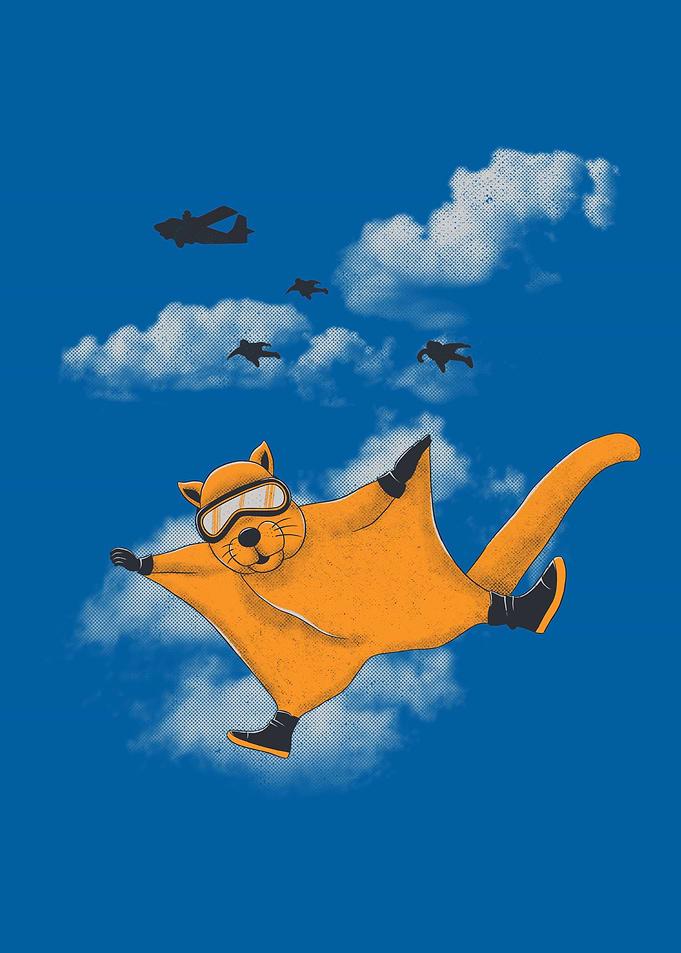 Wingsuit Flyer