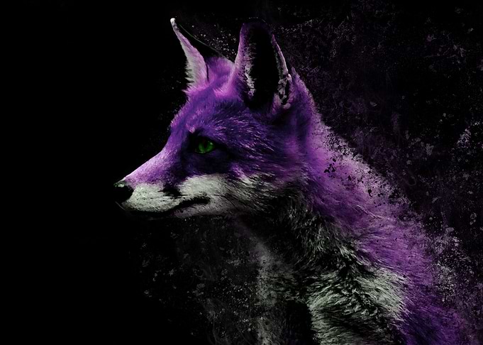 FOX