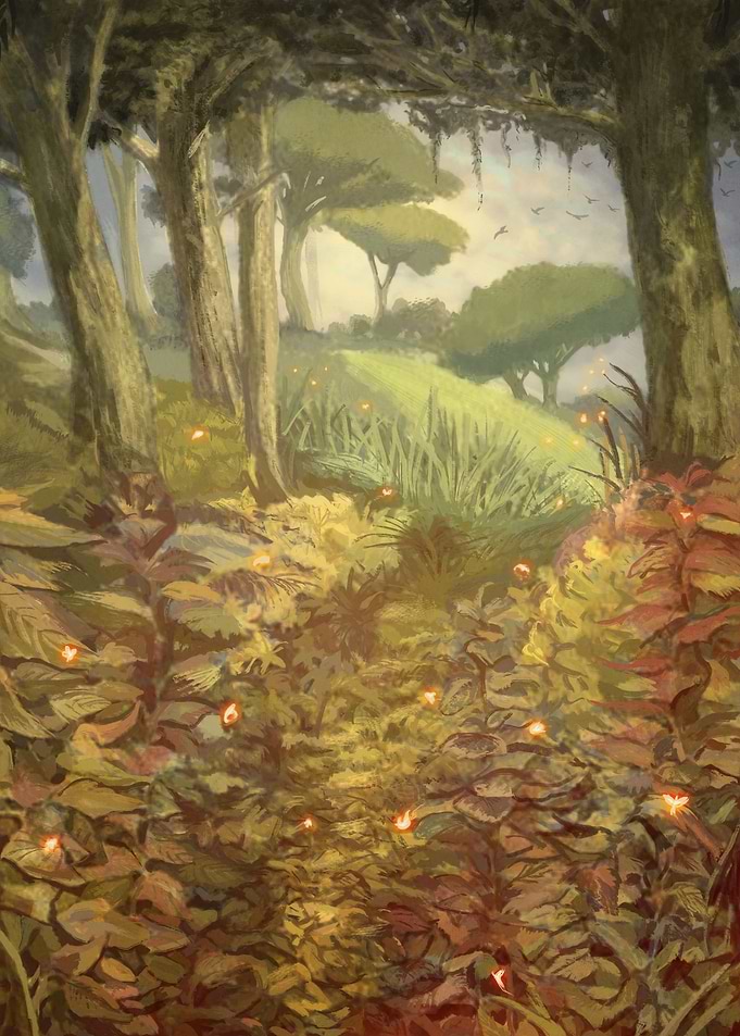 Forest in the End of Summer
