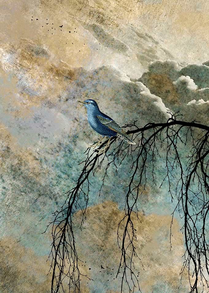 HEAVENLY BIRD II-A