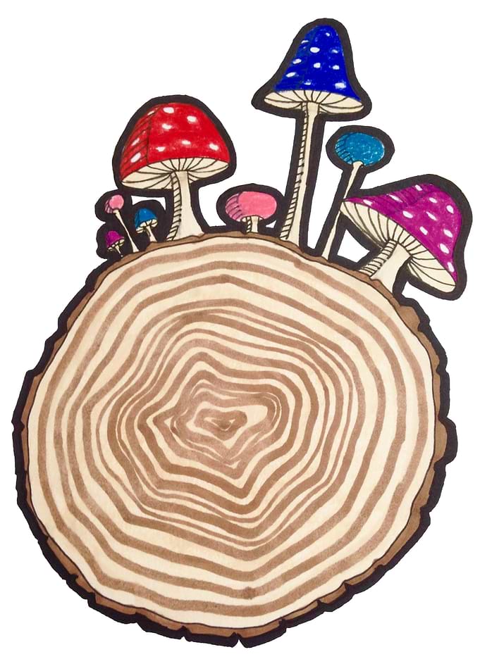 Ink and Prismacolor Illustration of mushrooms growing o ...