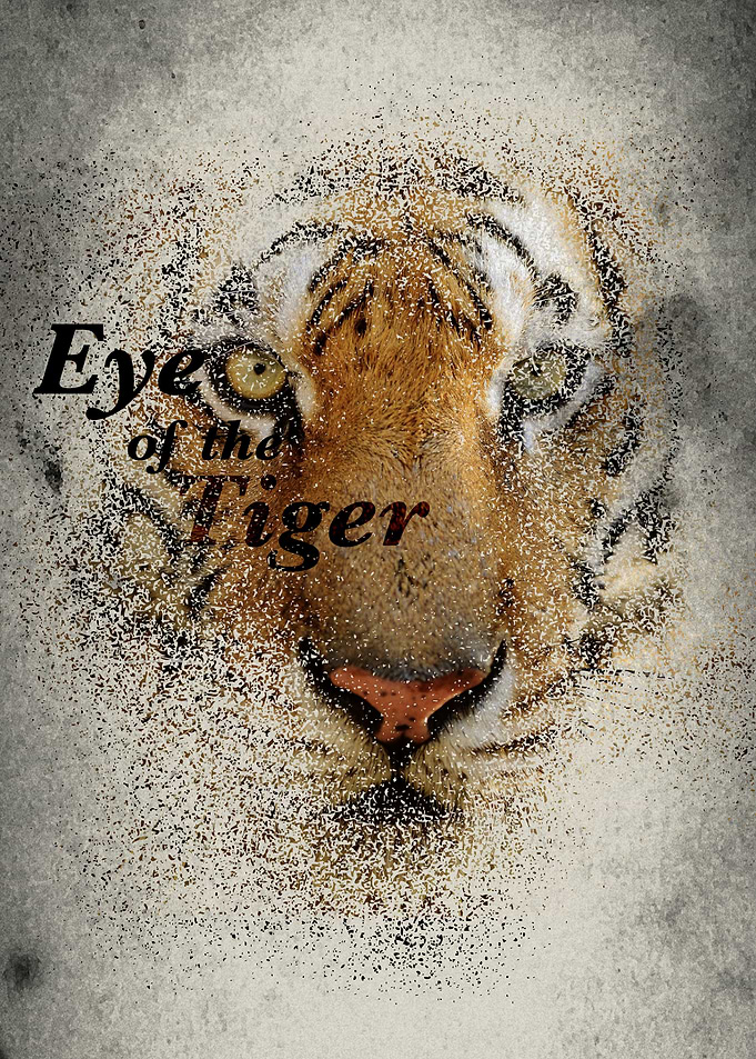 Eye of the Tiger