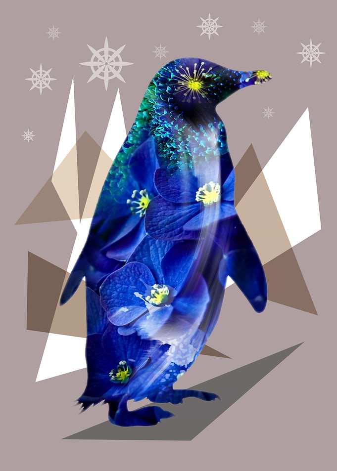 PENGUIN