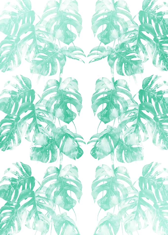 Monstera Tropical Jungle