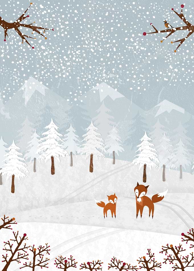 A lovely winter scenery with fox family!