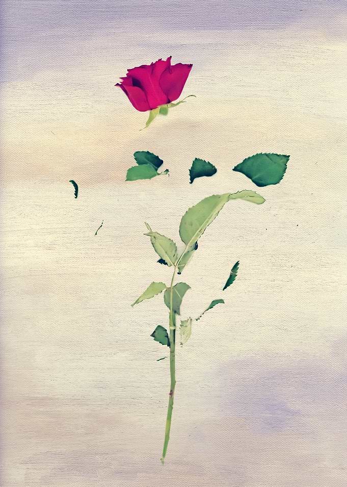 For you
