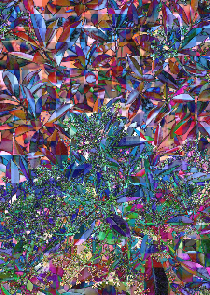 Into the Jungle 02