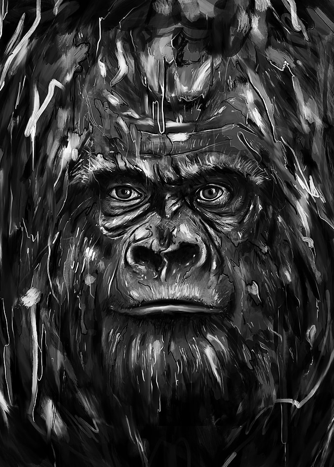 Silverback