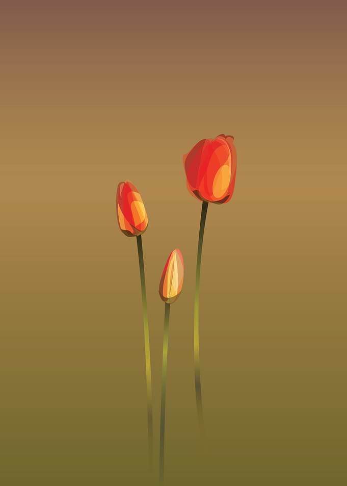 flower_04