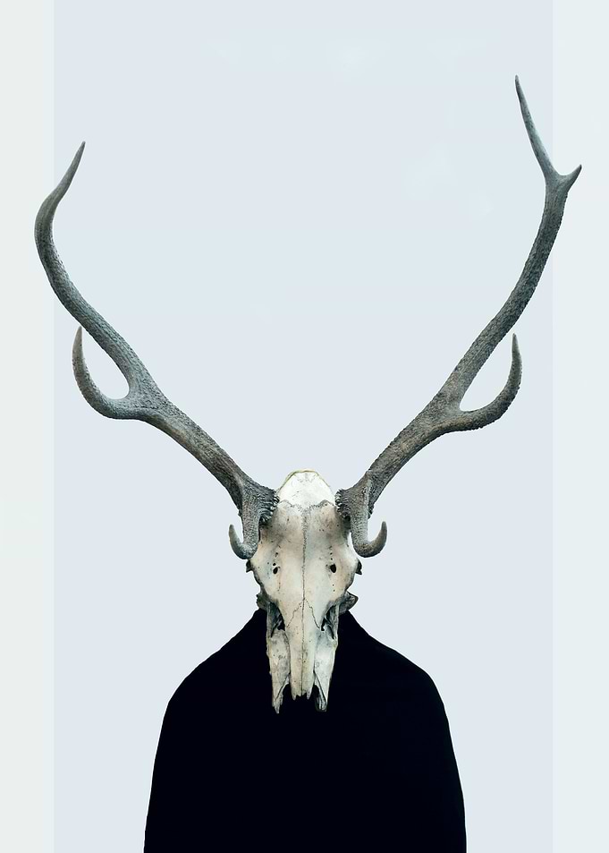 Living Skull and Horns