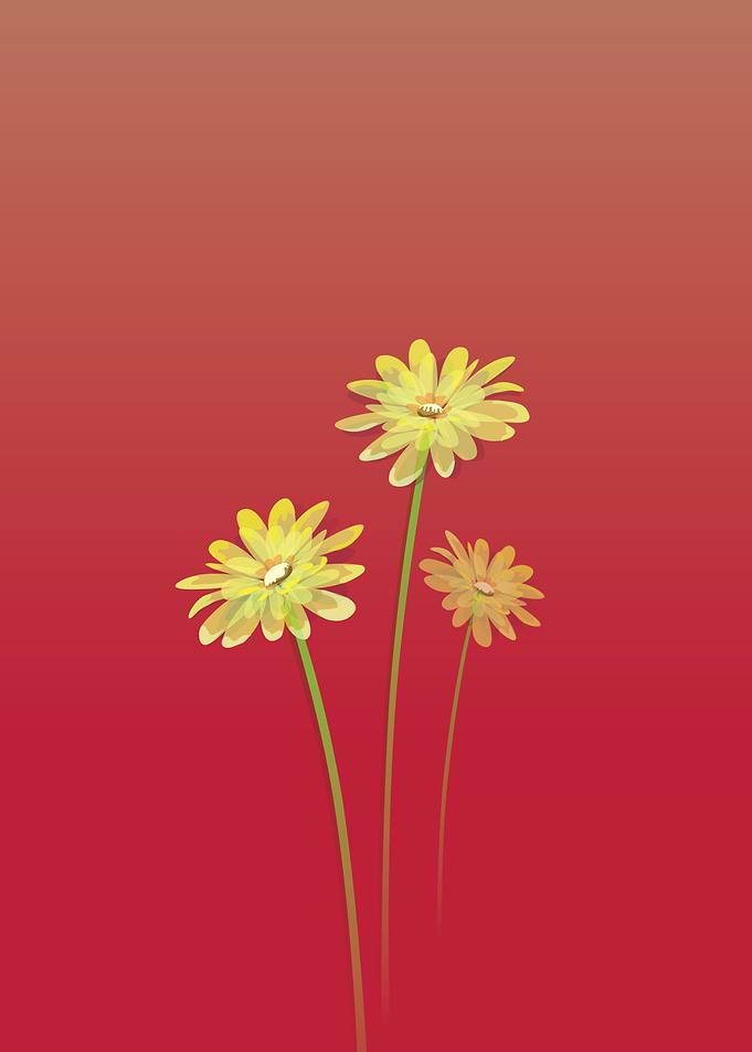 flower_02