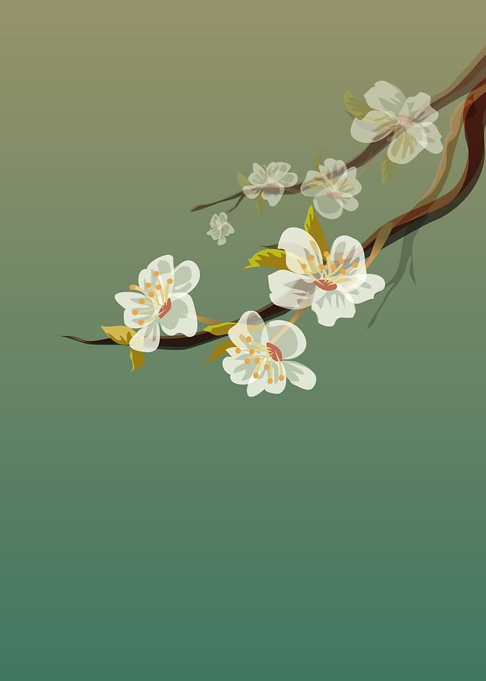 flower_01
