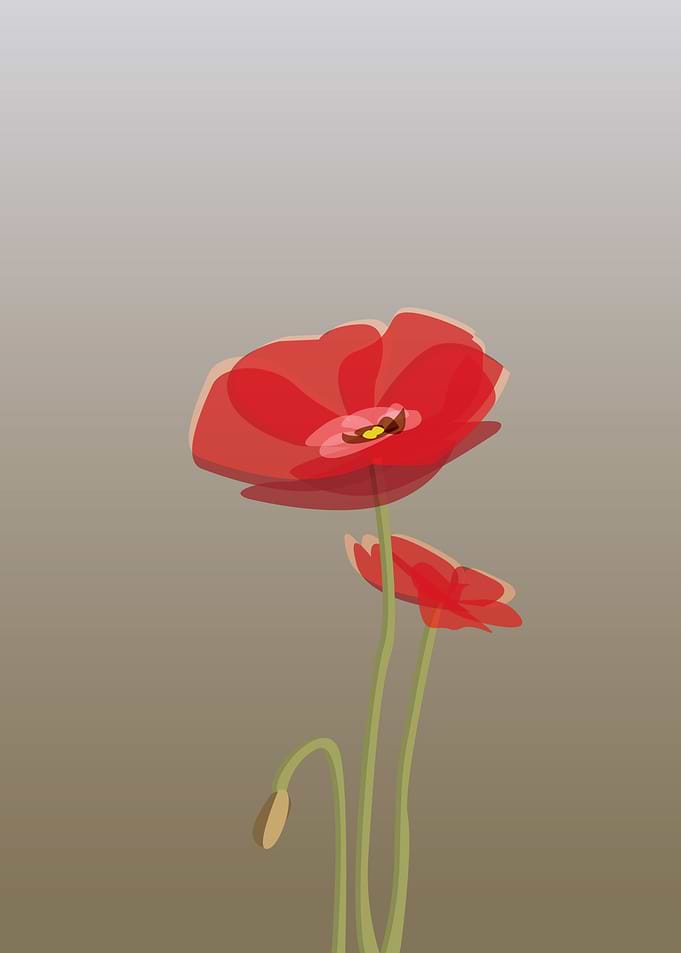 flower_03