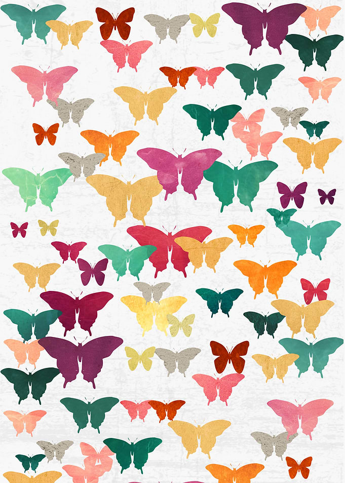 A colorful butterfly