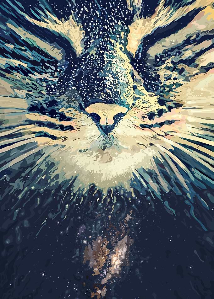Cat face in the sky