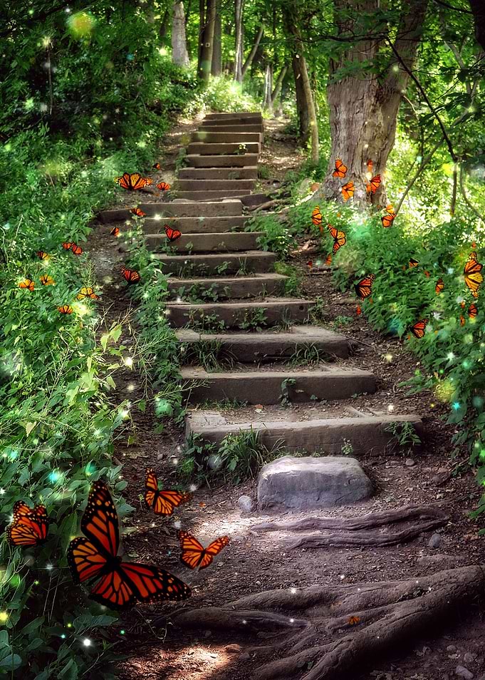 fairies live here