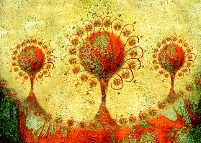 Innocent Brocade