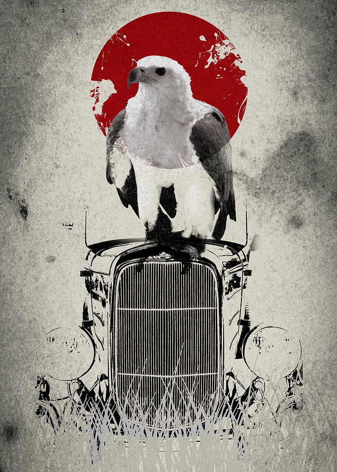 Bird of prey