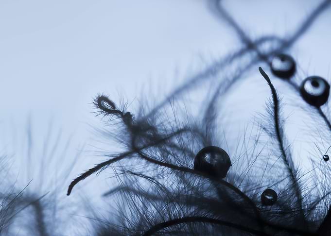 Waterdrops