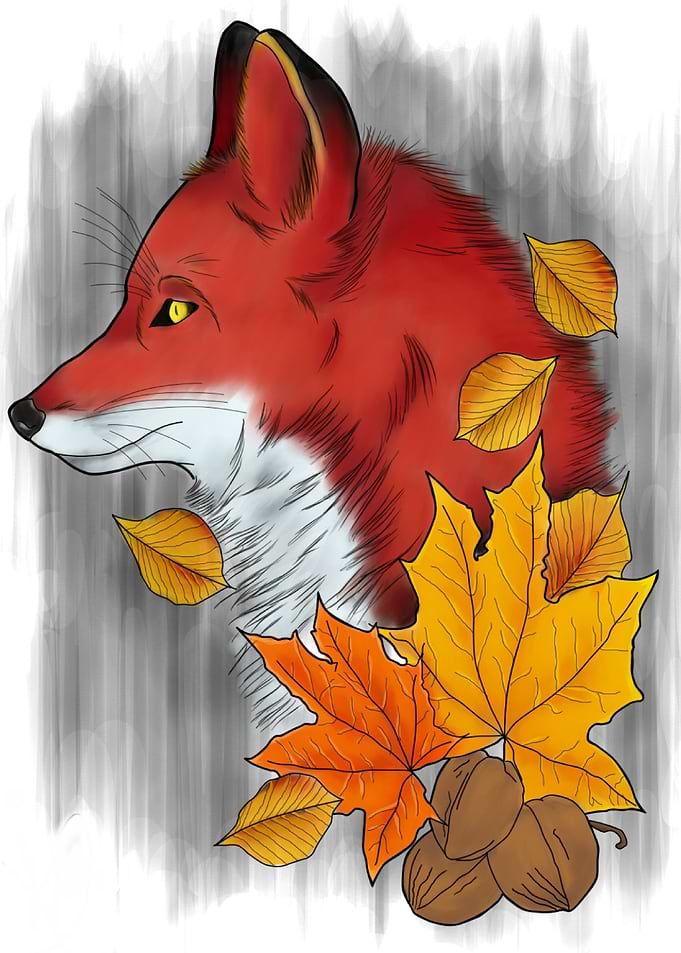 The Fox