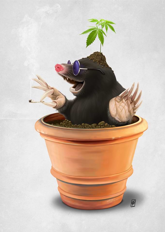 Pot (wordless)