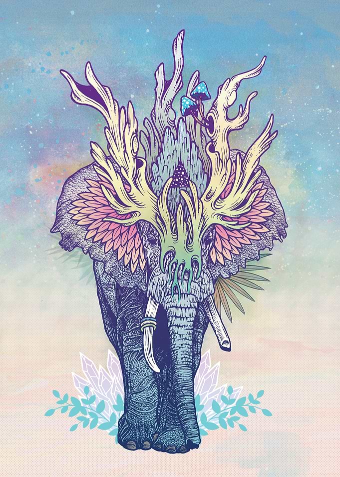 Spirit Animal - Elephant