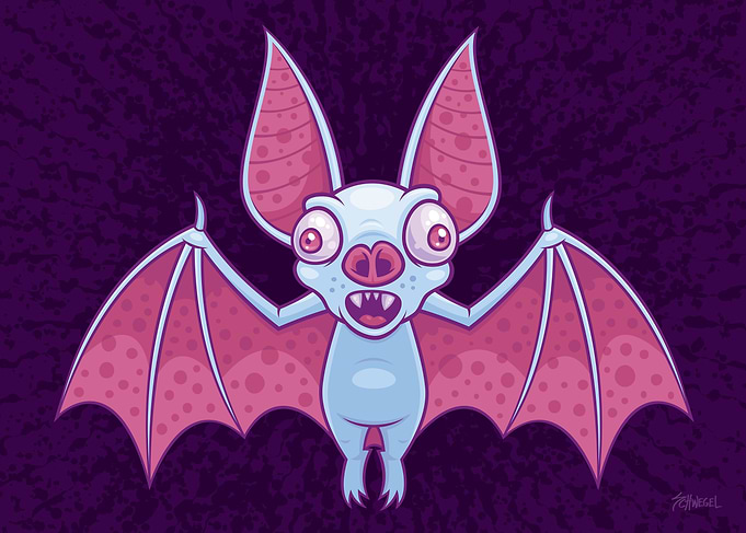 Albino Vampire Bat