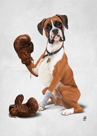 The Boxer (Wordless)