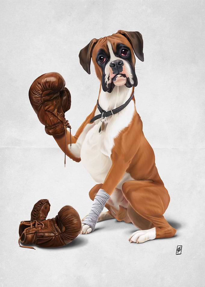 The Boxer (Wordless)