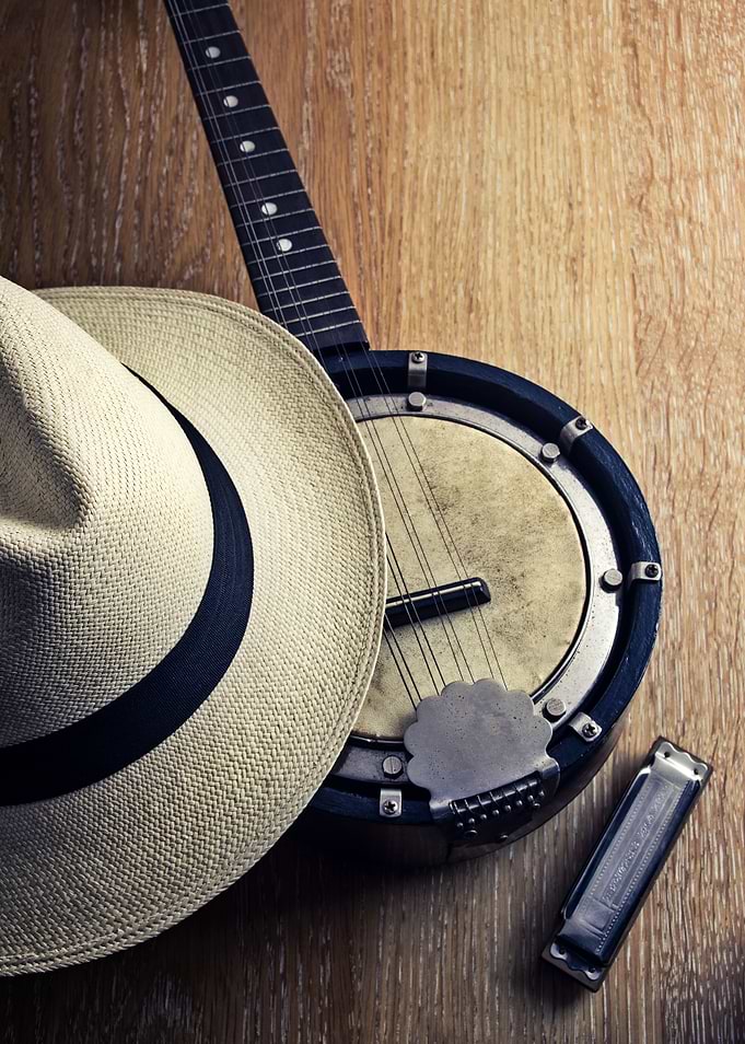 A mandolin-banjo and a blues harp laying on a old textu ...