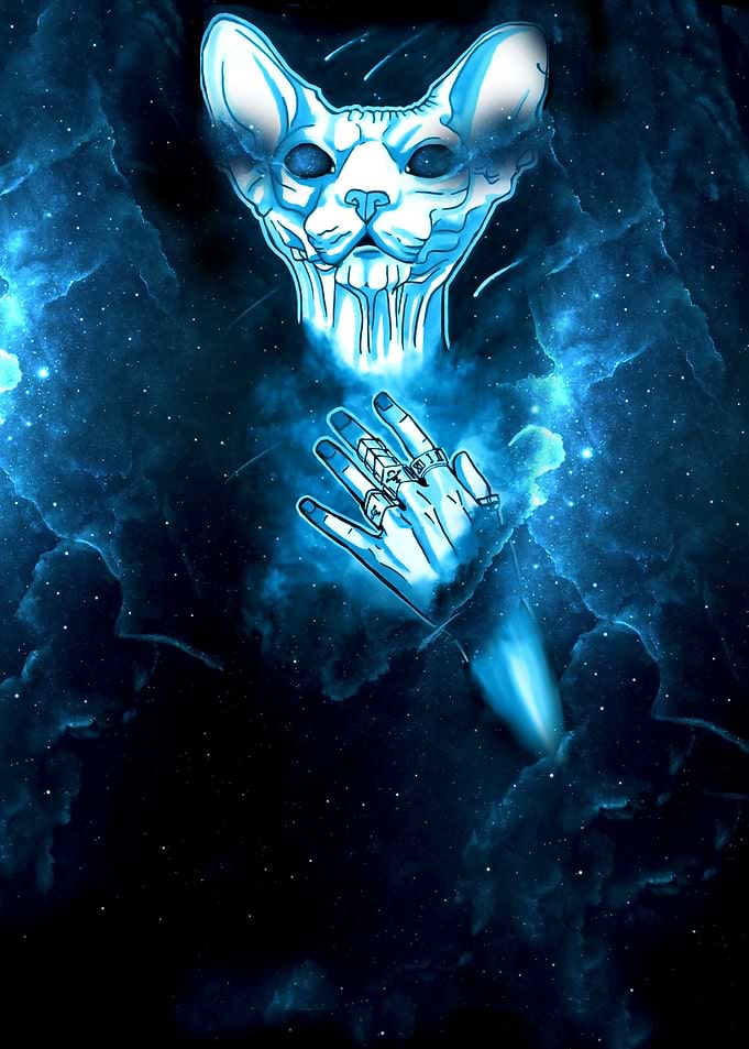 An artwork wich i have made for sphynx cat lovers .