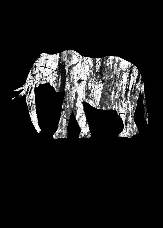 Save Elephant