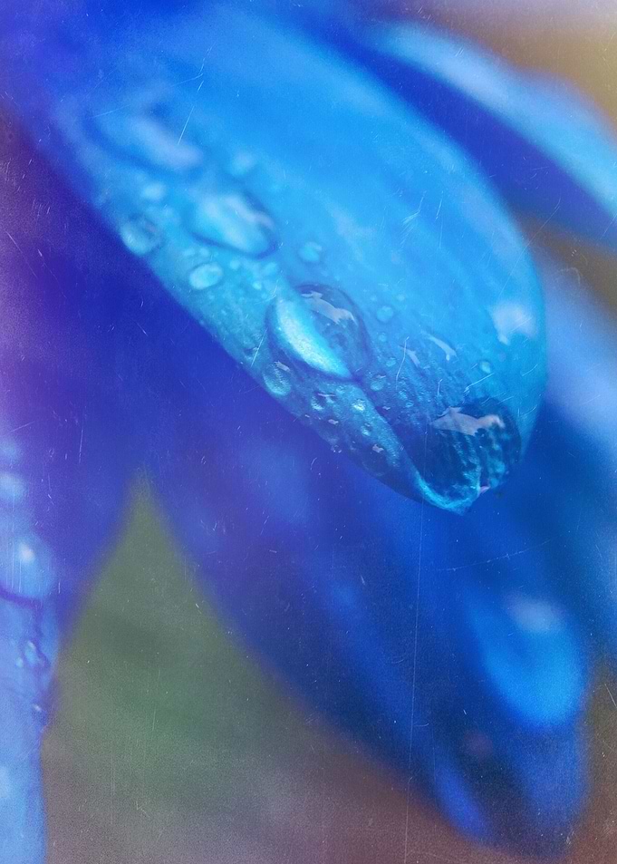 why so blue?