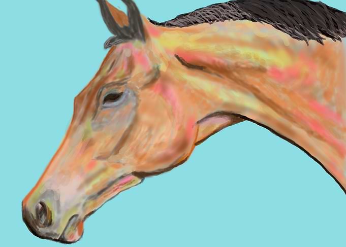 Horse